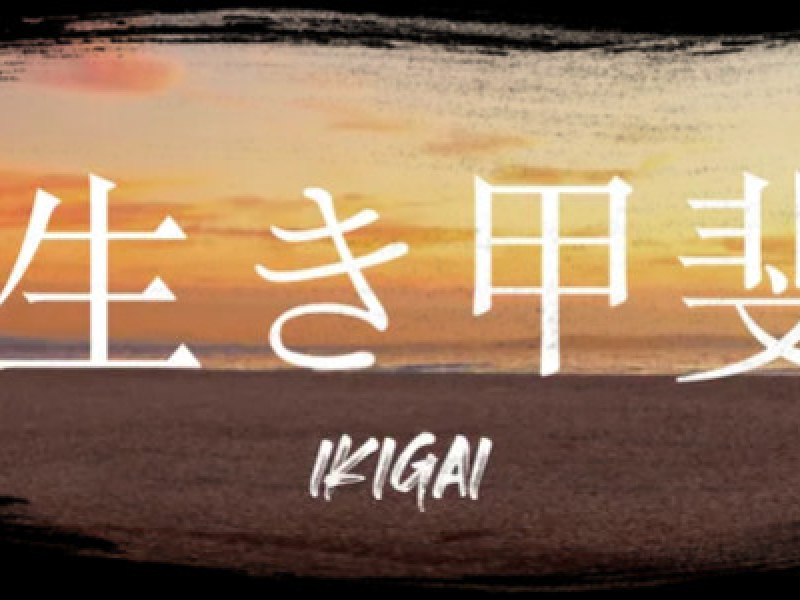 IKIGAI MEANING: YOUR GUIDE TO FINDING LIFE'S PURPOSE