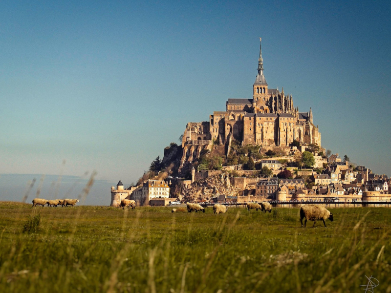 UNCOVER THE THRILLS OF A FRENCH ROADTRIP: A SPONTANEOUS ADVENTURE