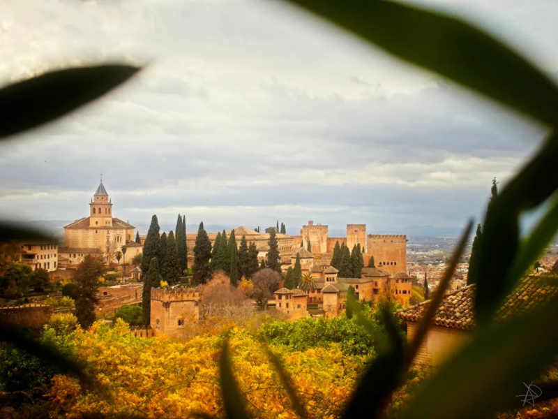 WANDERING THE WHIMSICAL ALLEYS OF CORDOBA AND GRANADA