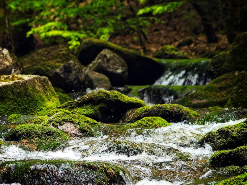 DISCOVER THE MAGIC OF JEDLOVA WATERFALLS: A PERFECT ADVENTURE