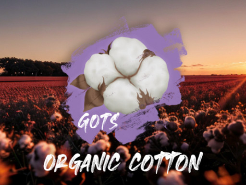 GOTS CERTIFICATION: ELEVATING ORGANIC COTTON WITH SUSTAINABLE INTEGRITY