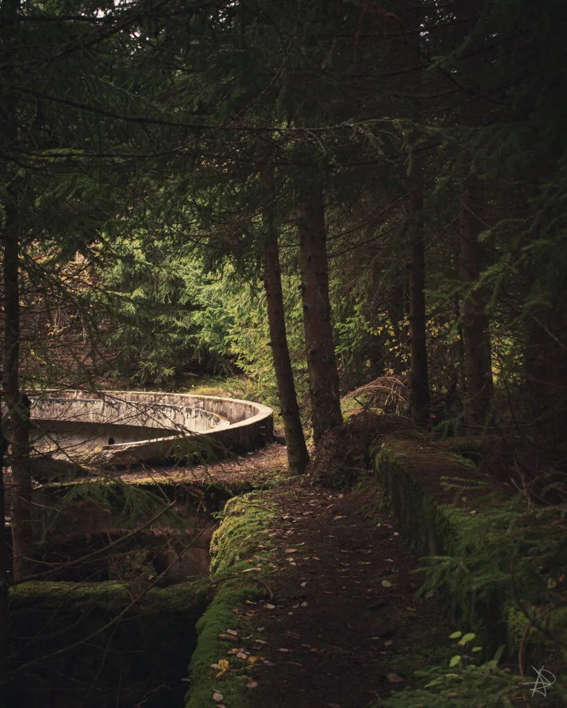 Atmospheric shot of decaying industrial structures reclaimed by nature at Rolava